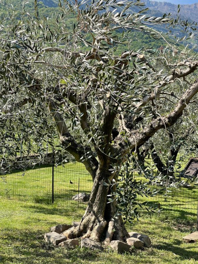Apartmán Il Zattiere Rovereto  Exteriér fotografie